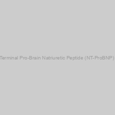 Image of Rabbit N-Terminal Pro-Brain Natriuretic Peptide (NT-ProBNP) ELISA Kit